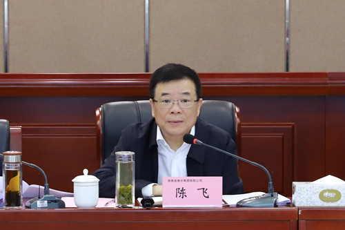 陈飞副省长调研湘水集团