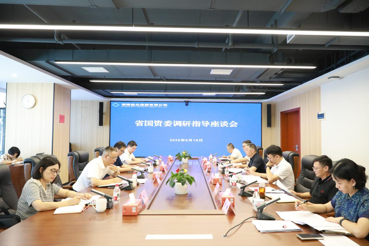 肖文伟调研湖南盐业集团