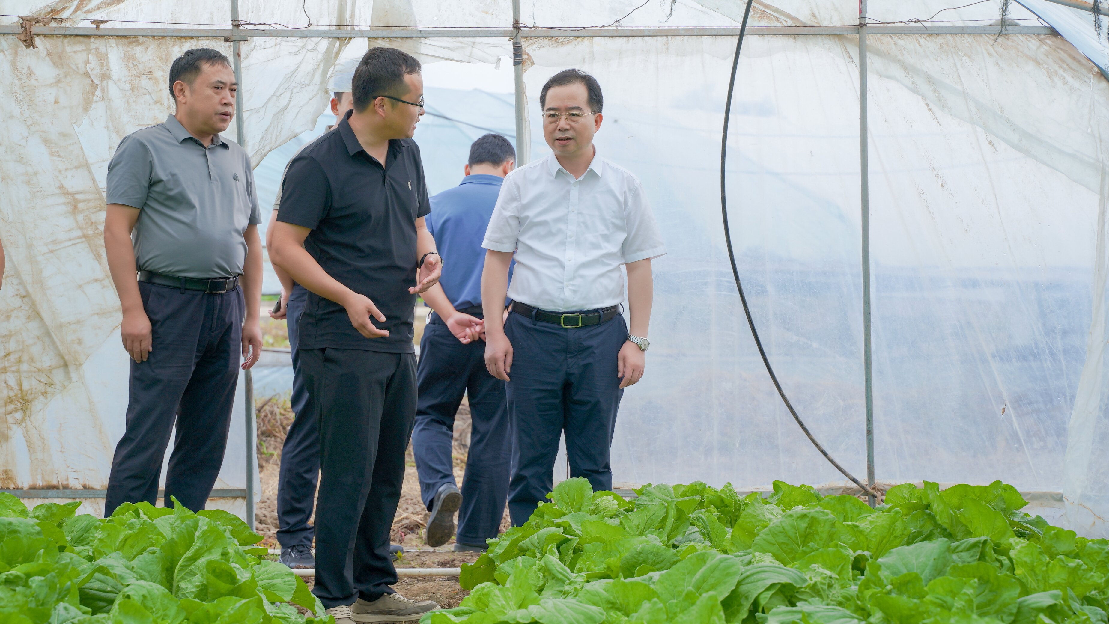 毛育新赴泸溪县黄家桥村调研乡村振兴工...