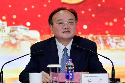 杨平出席湖南有色金属控股集团2020年度工作会议