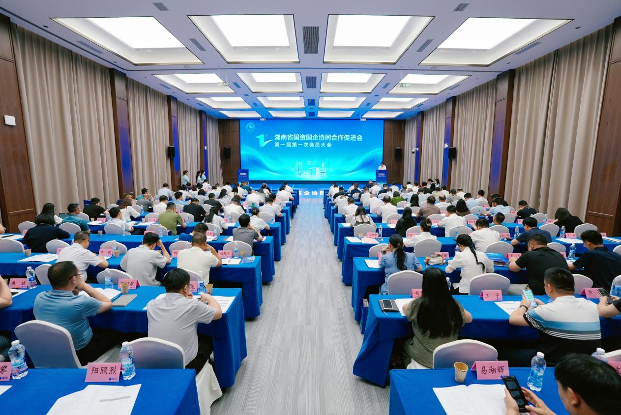 聚势赋能促协同 凝心聚力启新程 湖南省...